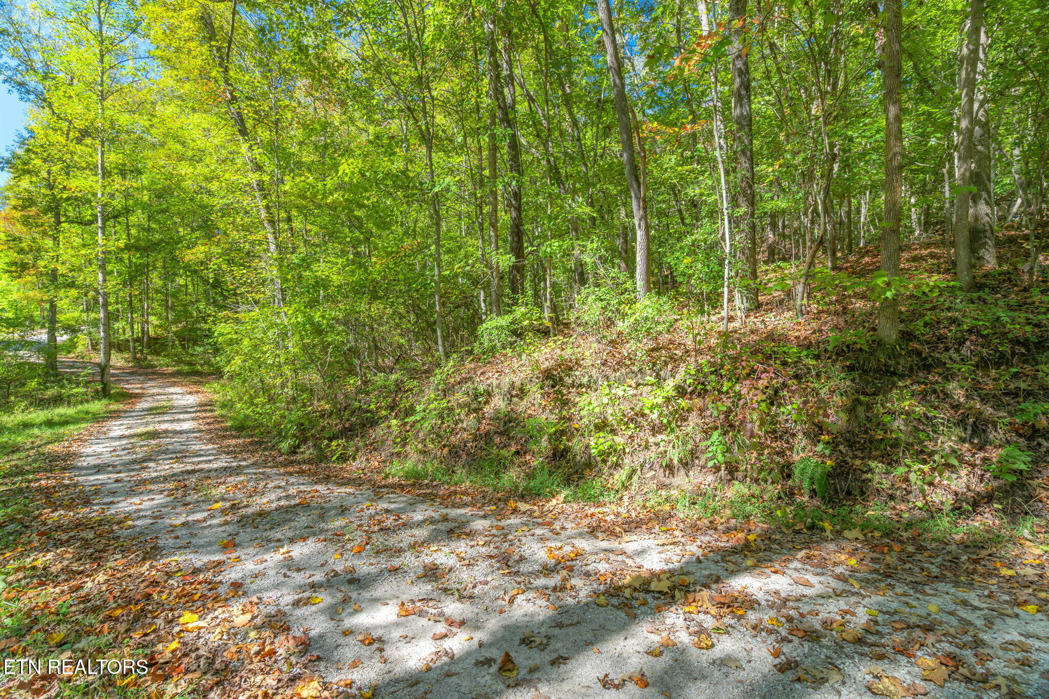 Tunnel Hill Rd