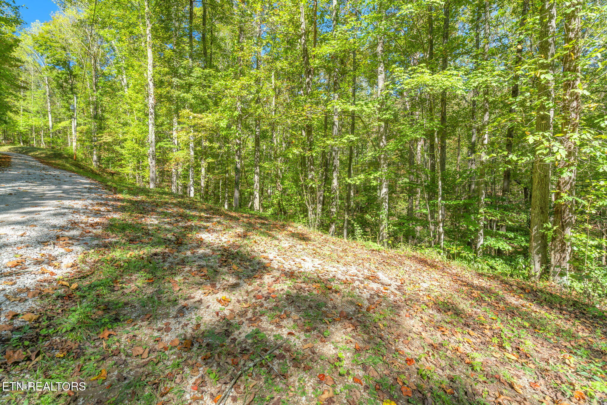 Tunnel Hill Rd