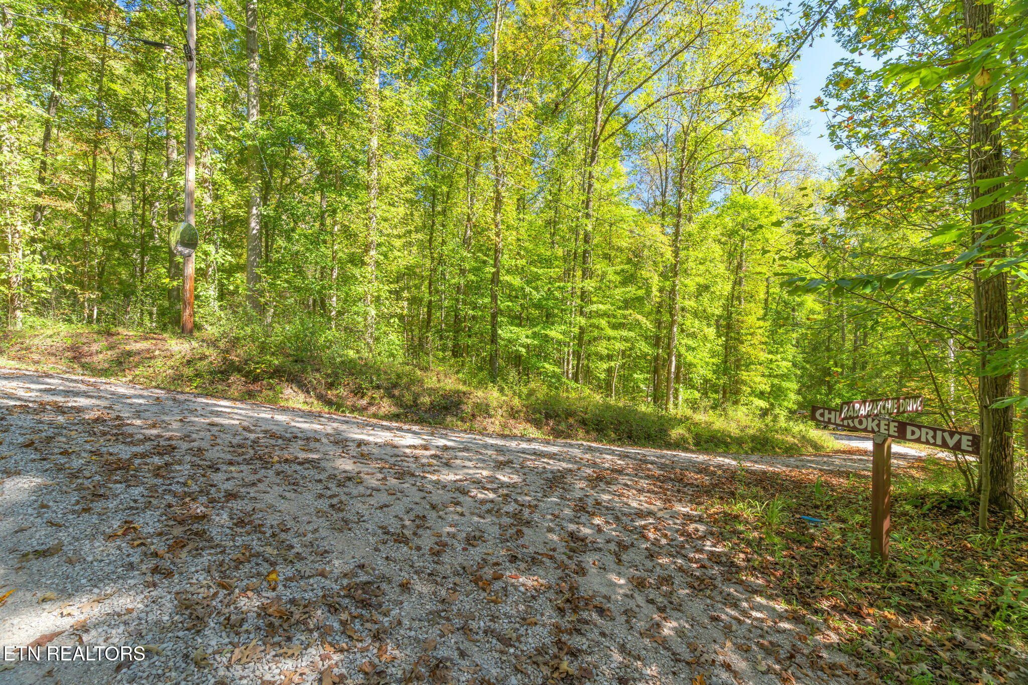 Tunnel Hill Rd