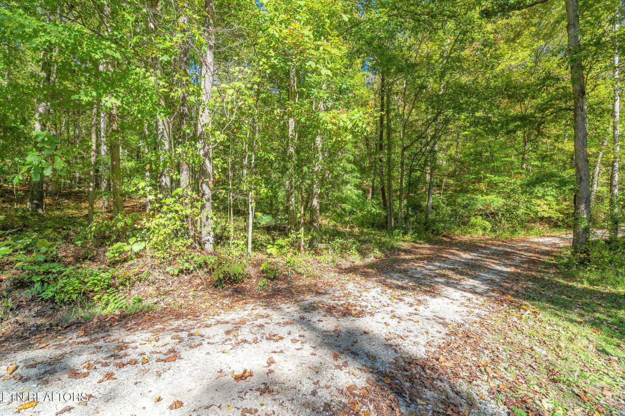 Tunnel Hill Rd