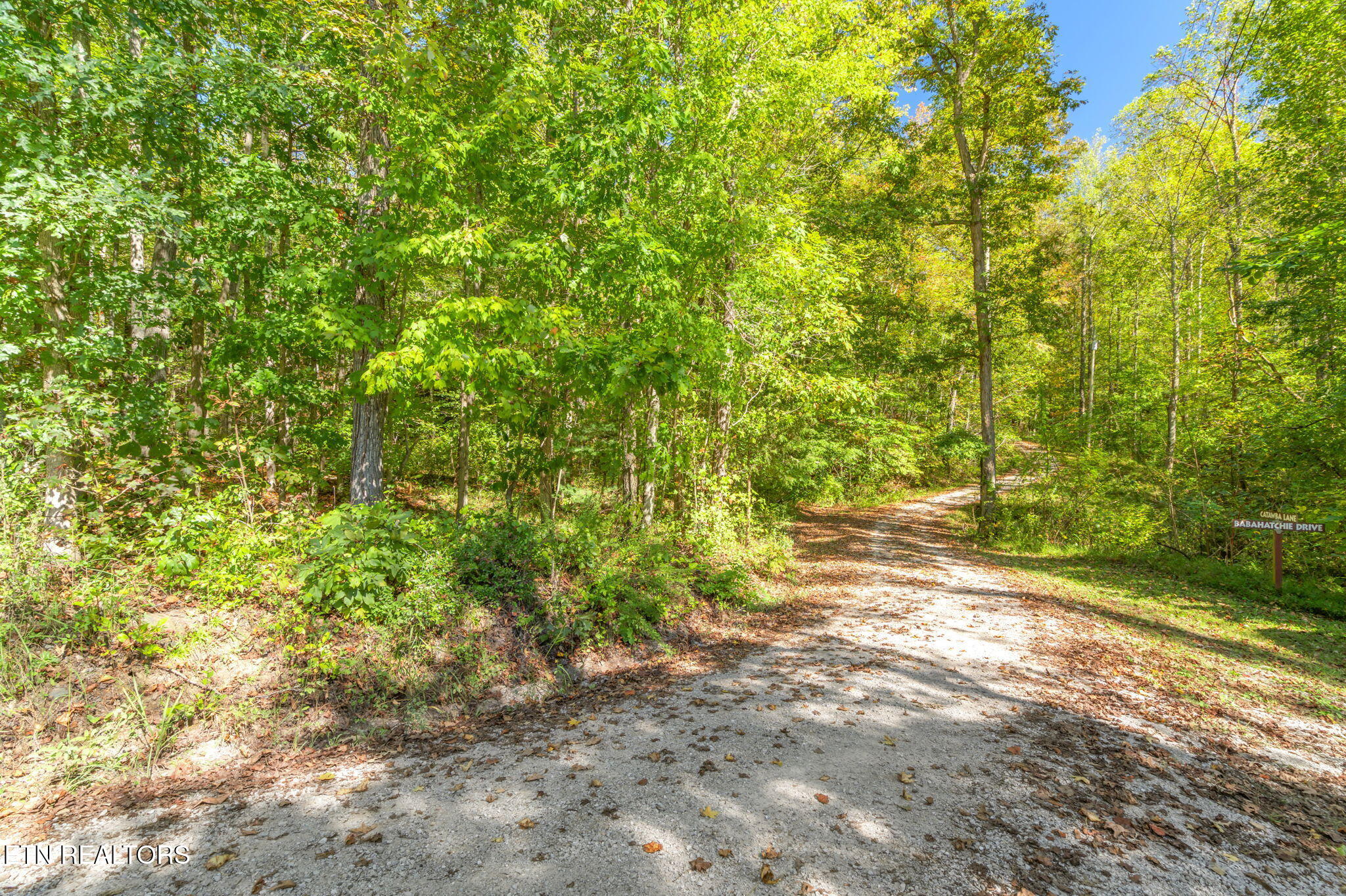 Tunnel Hill Rd