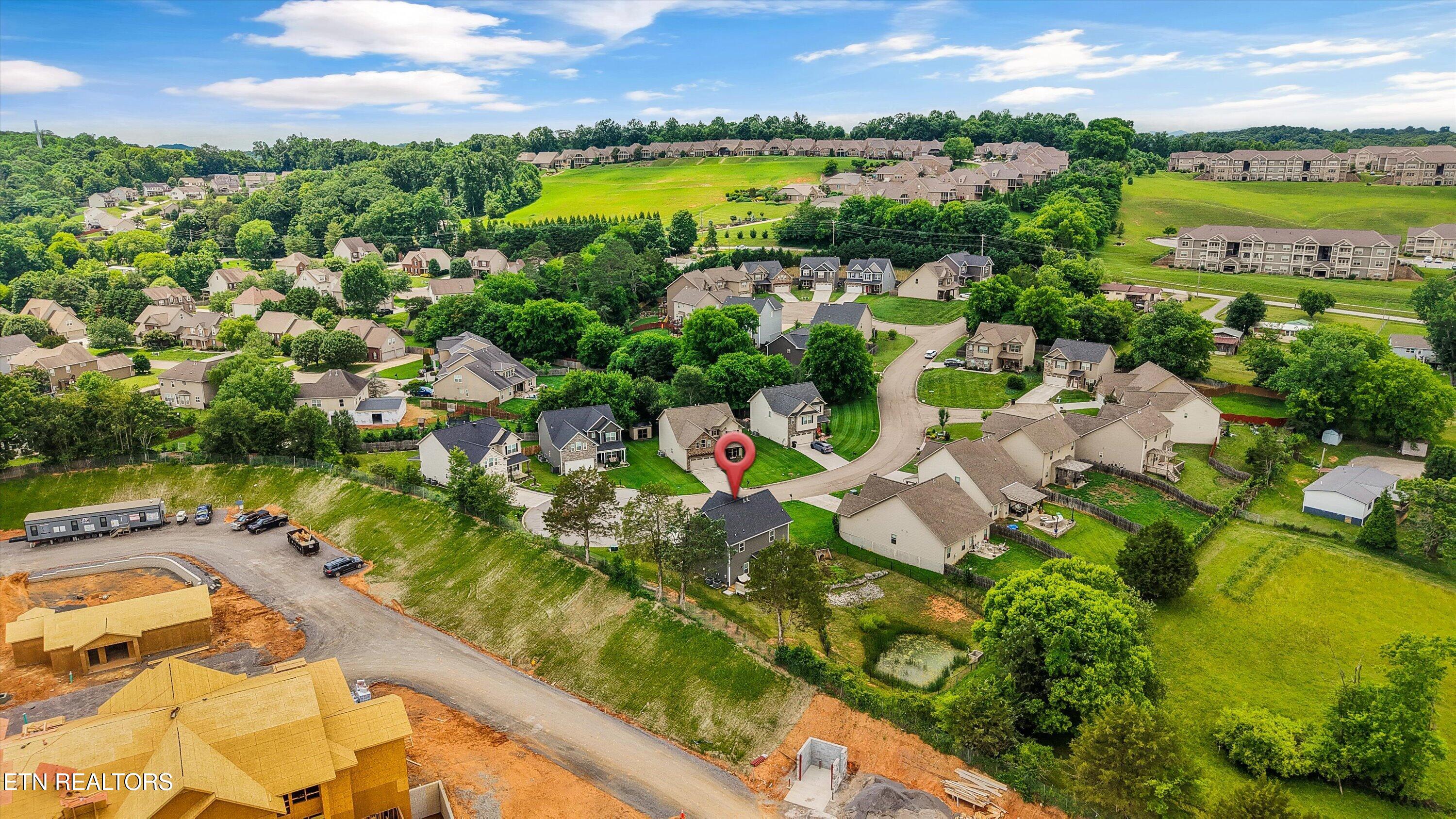 1006 Letsinger Cove Lane