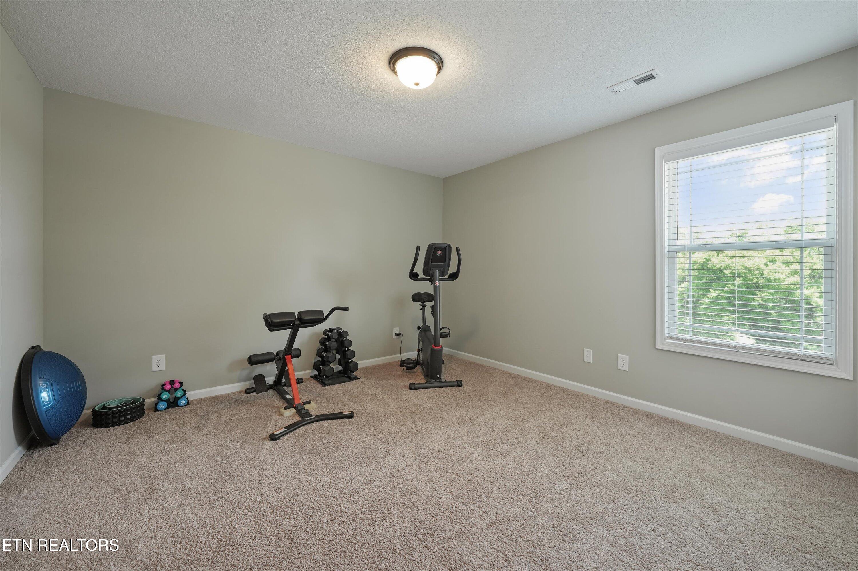 1006 Letsinger Cove Lane