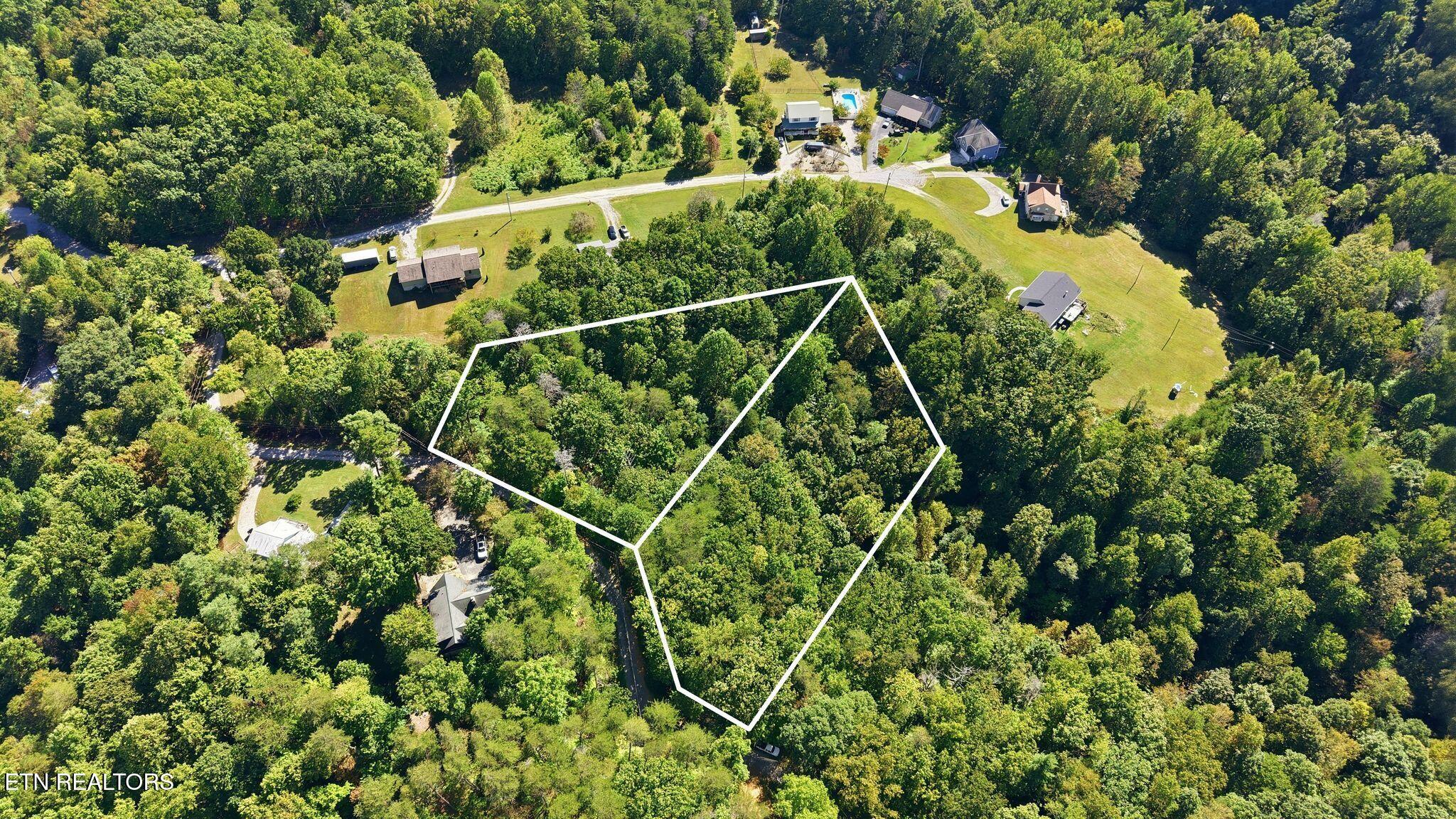 Aerial view of a wooded lot outlined in white among neighboring homes and lawns.