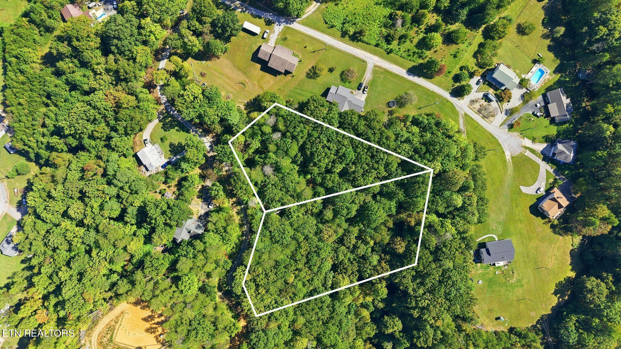 Aerial view of a wooded property outlined in white among neighborhood homes and lawns.