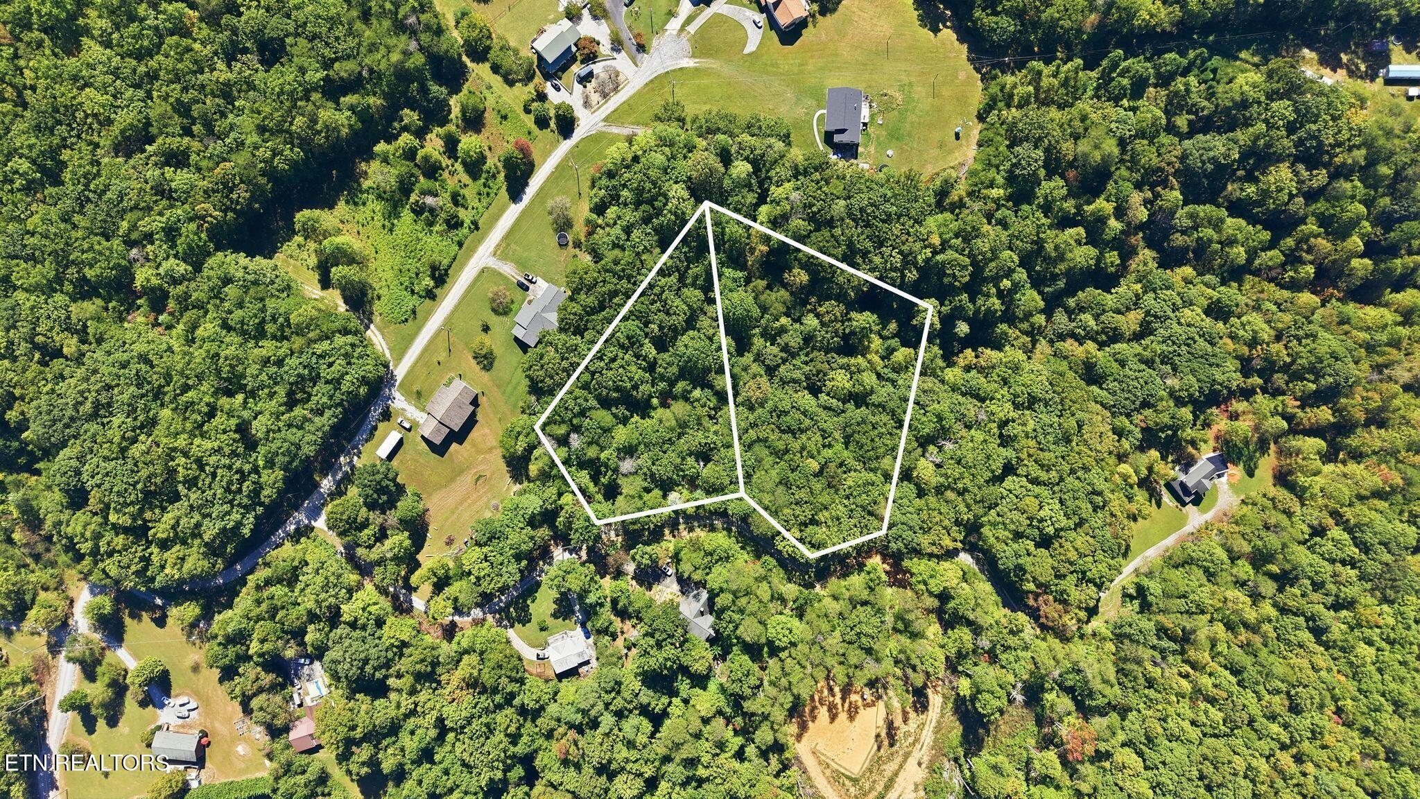 Aerial view of a wooded property outlined in white among rural homes and winding roads.