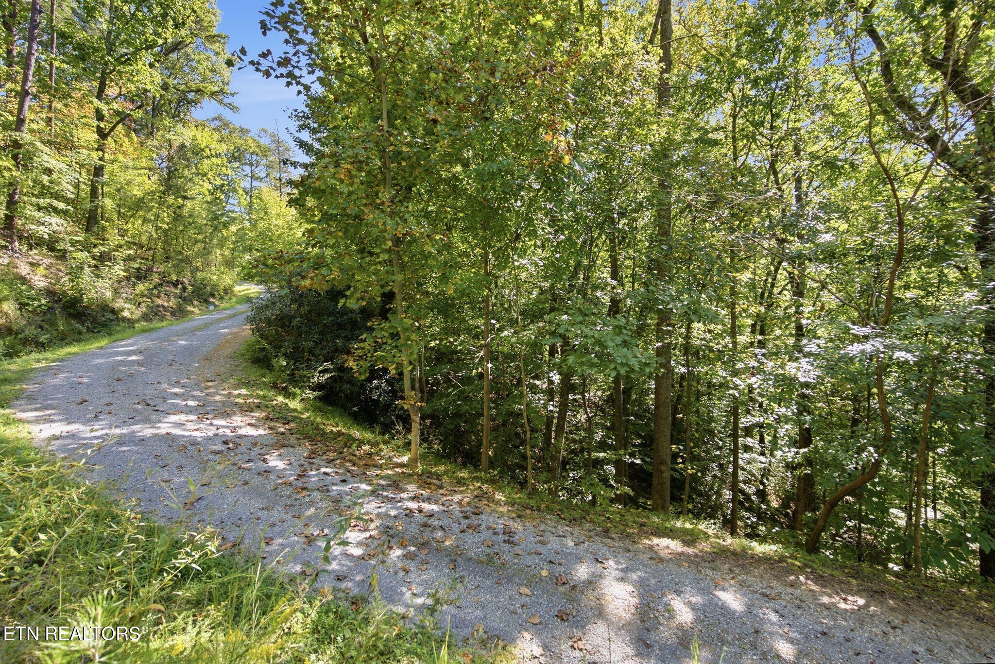 Gravel driveway winding through a leafy wooded property.