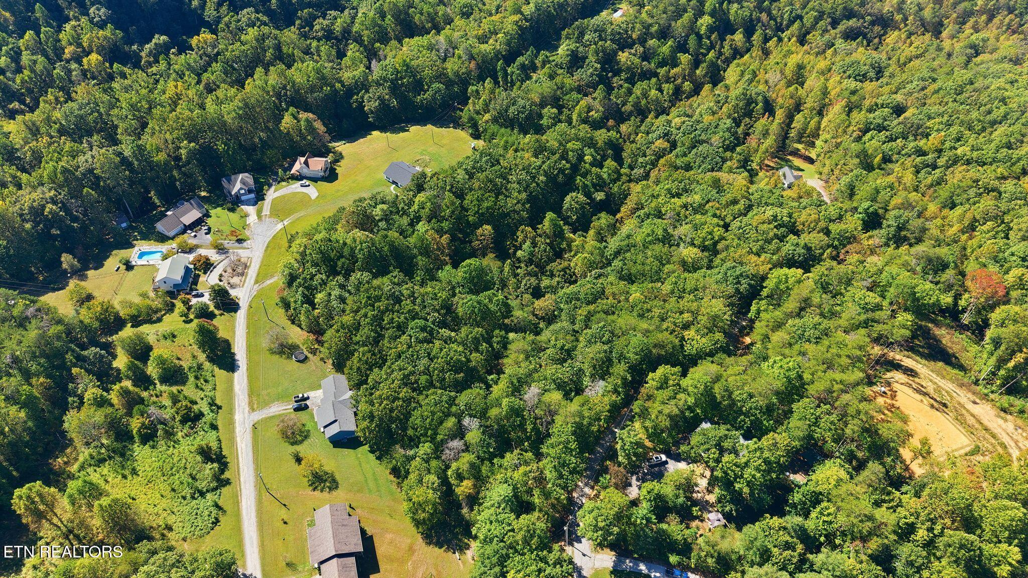 Aerial view of homes along a gravel road, surrounded by dense woods, with a swimming pool and open lawns.