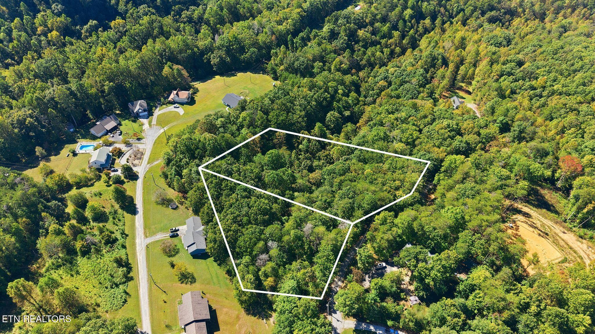 Aerial view of a wooded parcel outlined in white beside homes and a curving road.