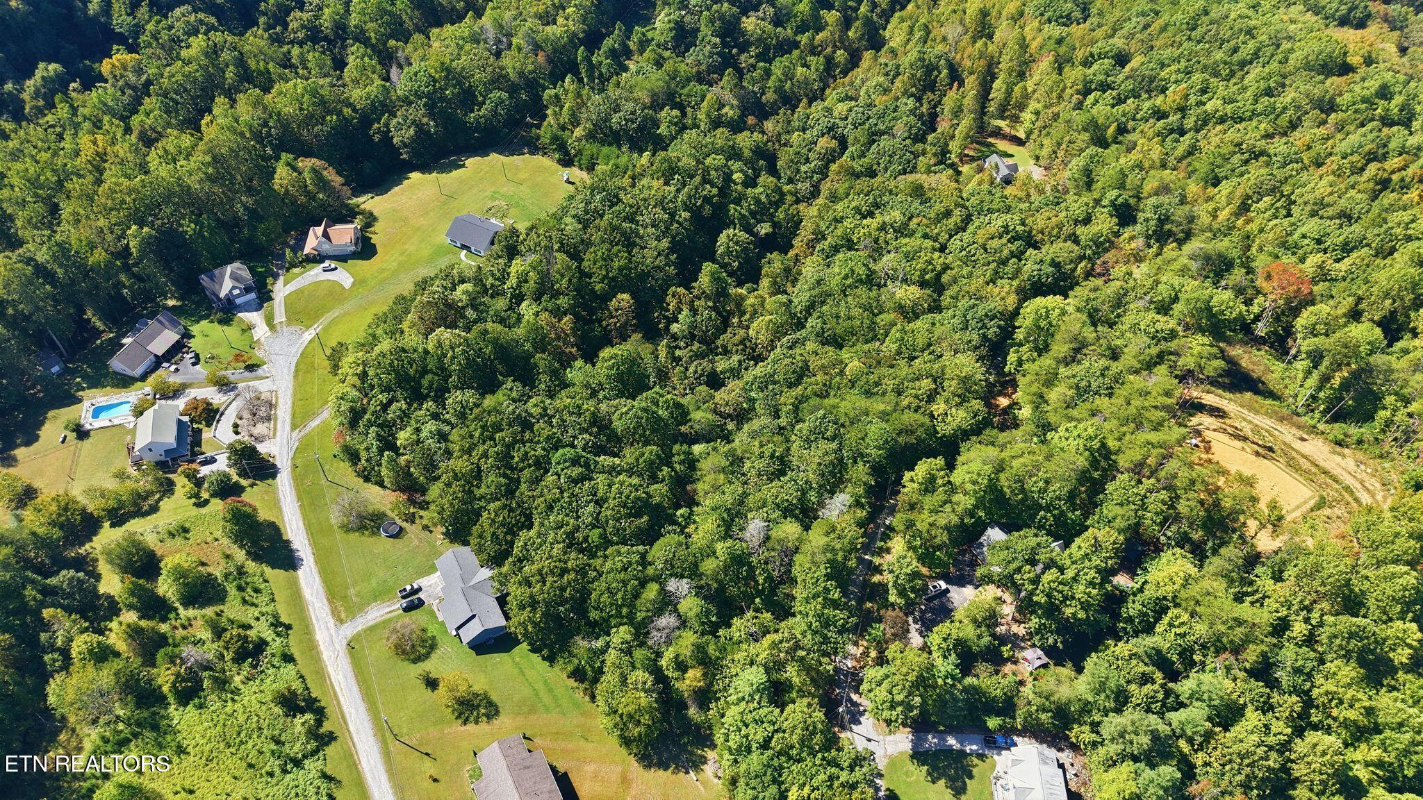 Aerial view of wooded acreage with scattered homes, grassy clearings, and a winding gravel road.