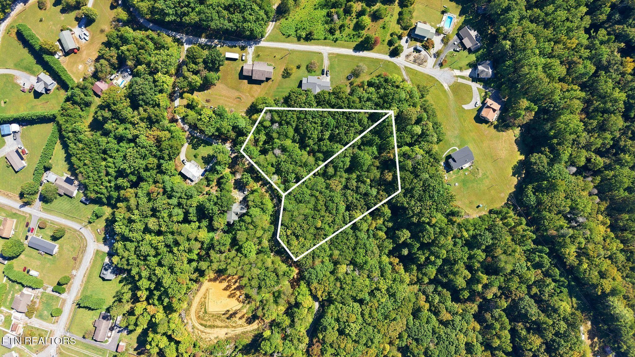 Aerial view of a wooded parcel outlined in white among nearby homes and lawns.