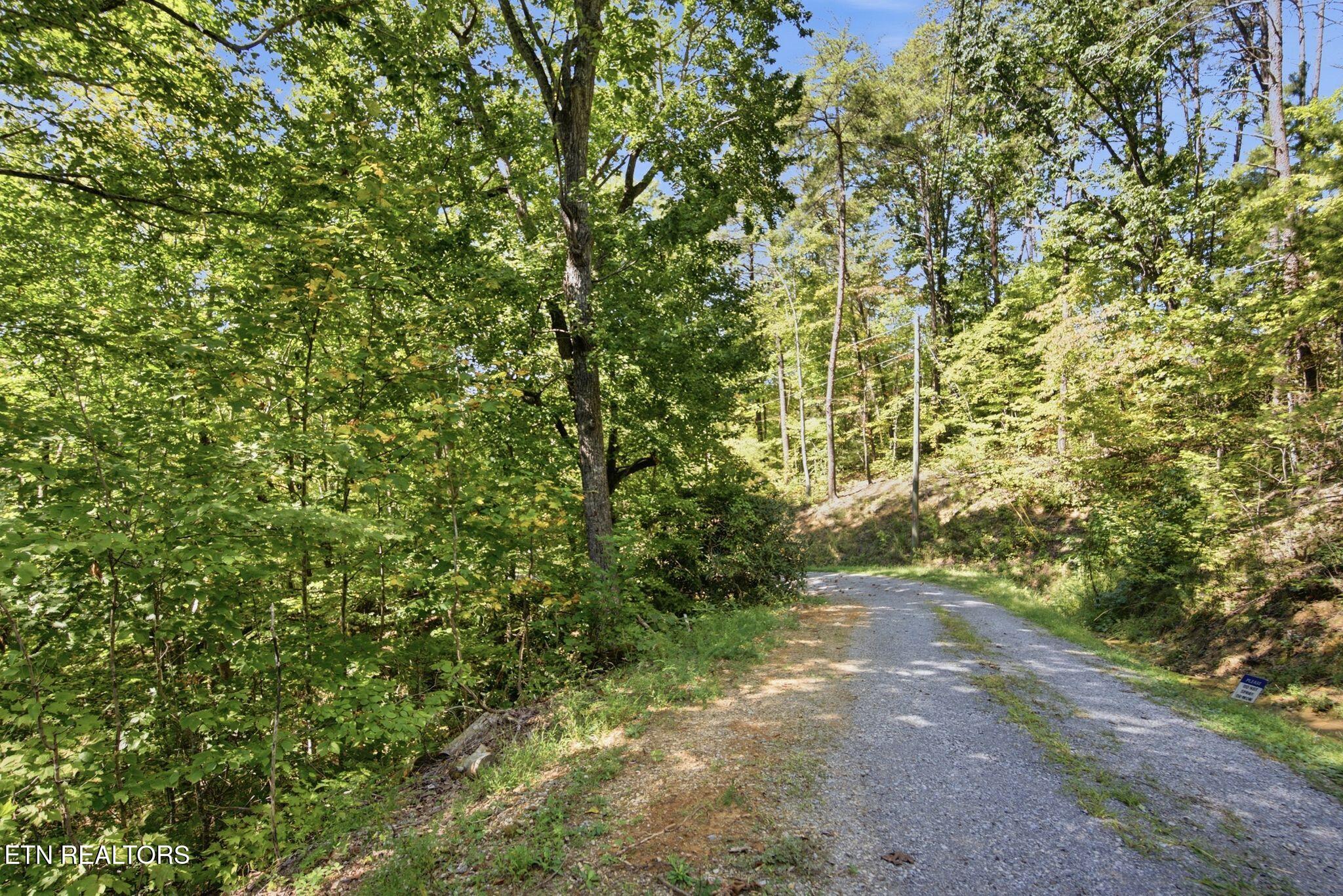 Gravel road curves through a wooded hillside, with utility poles and a small real estate sign.