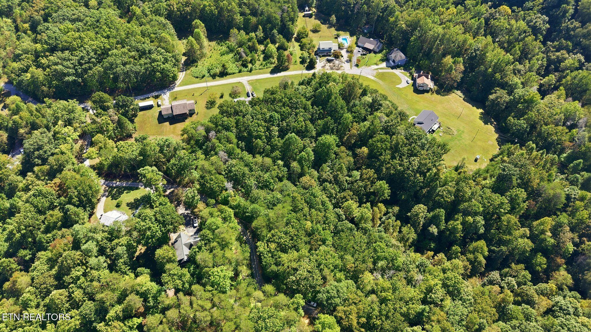 Aerial view of homes and winding roads among dense summer woodland.
