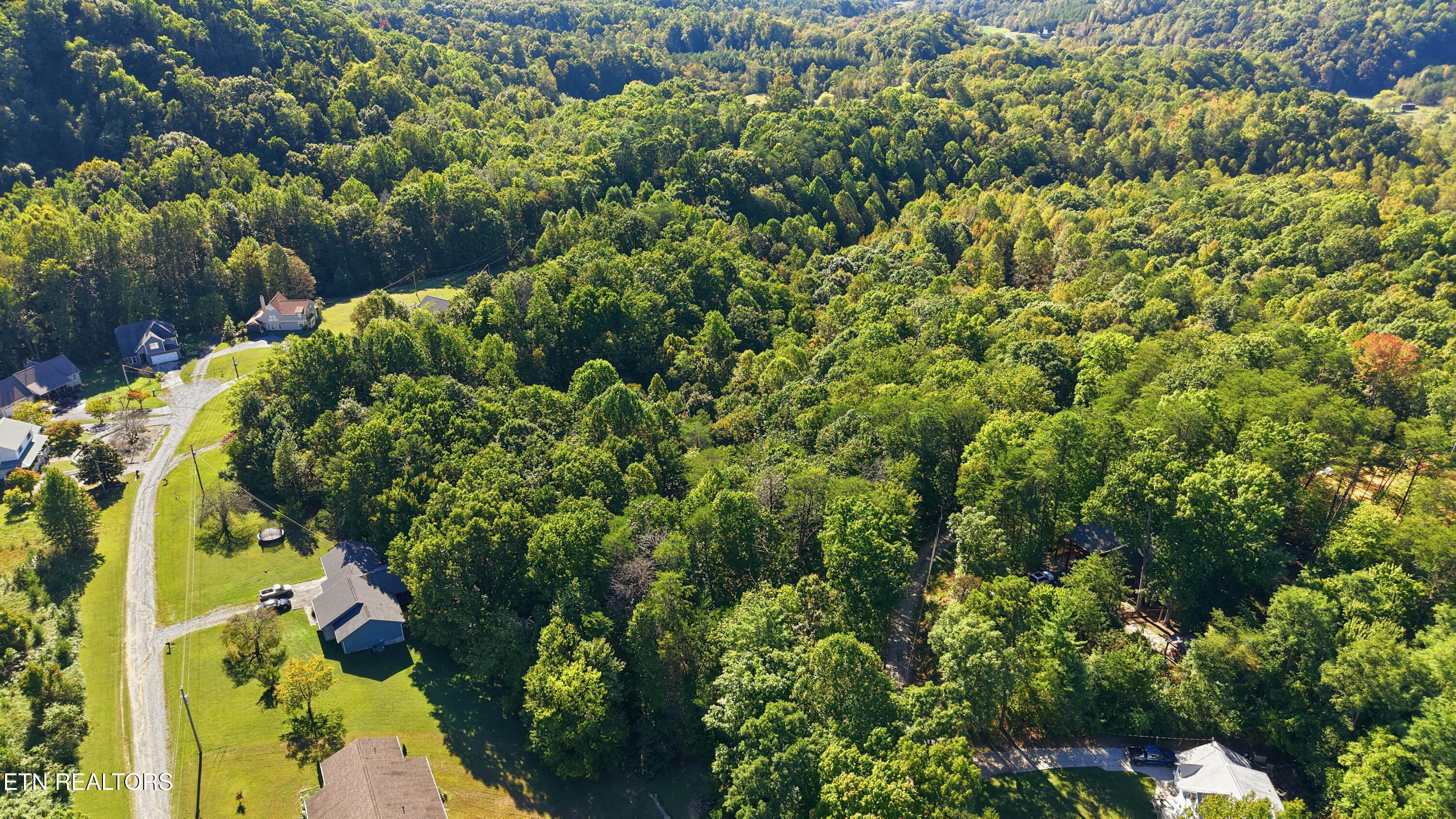 Aerial view of wooded land beside homes and a gravel road.