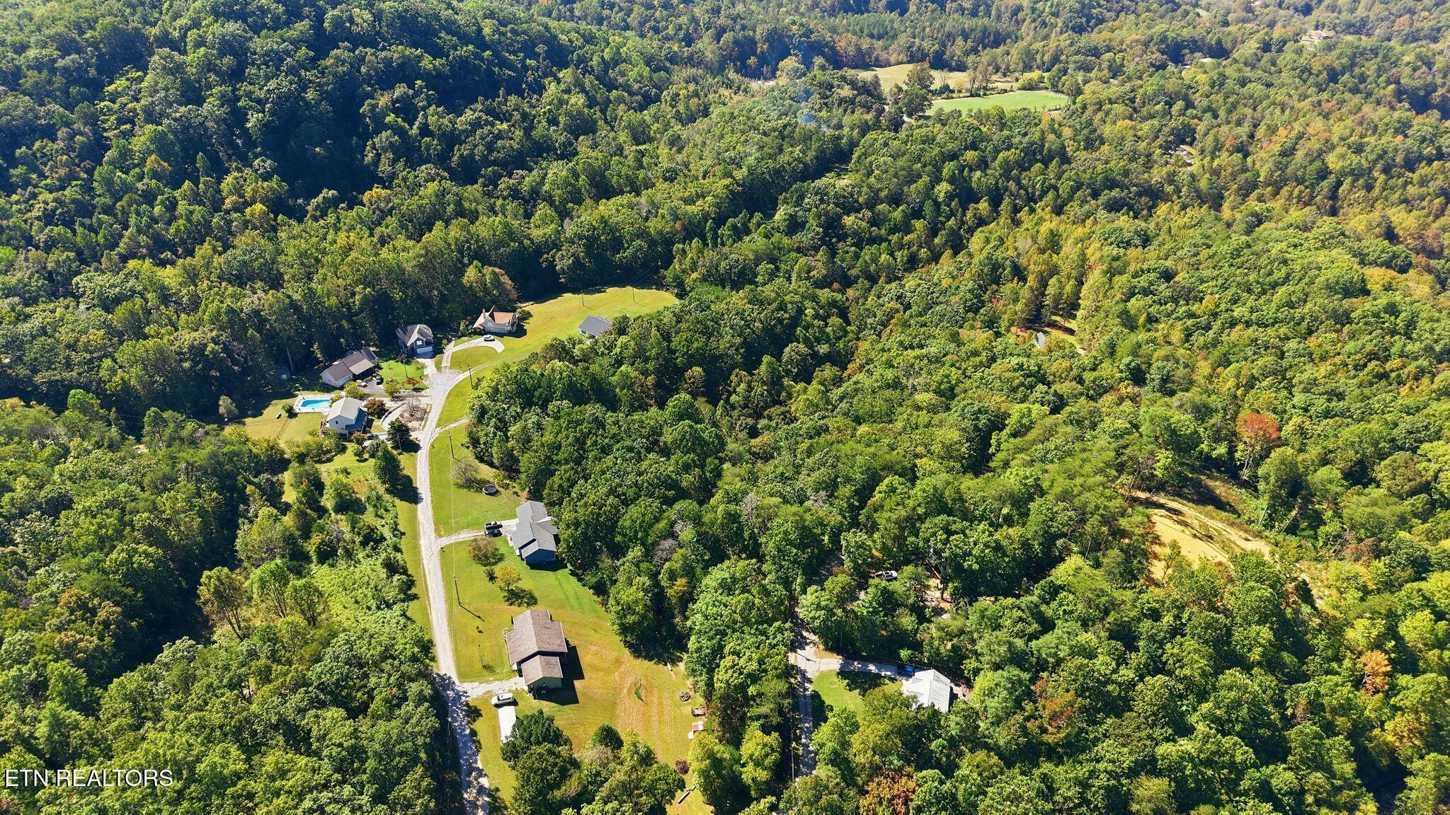 Aerial view of homes along a gravel road amid dense woods, with a swimming pool and open lawns.