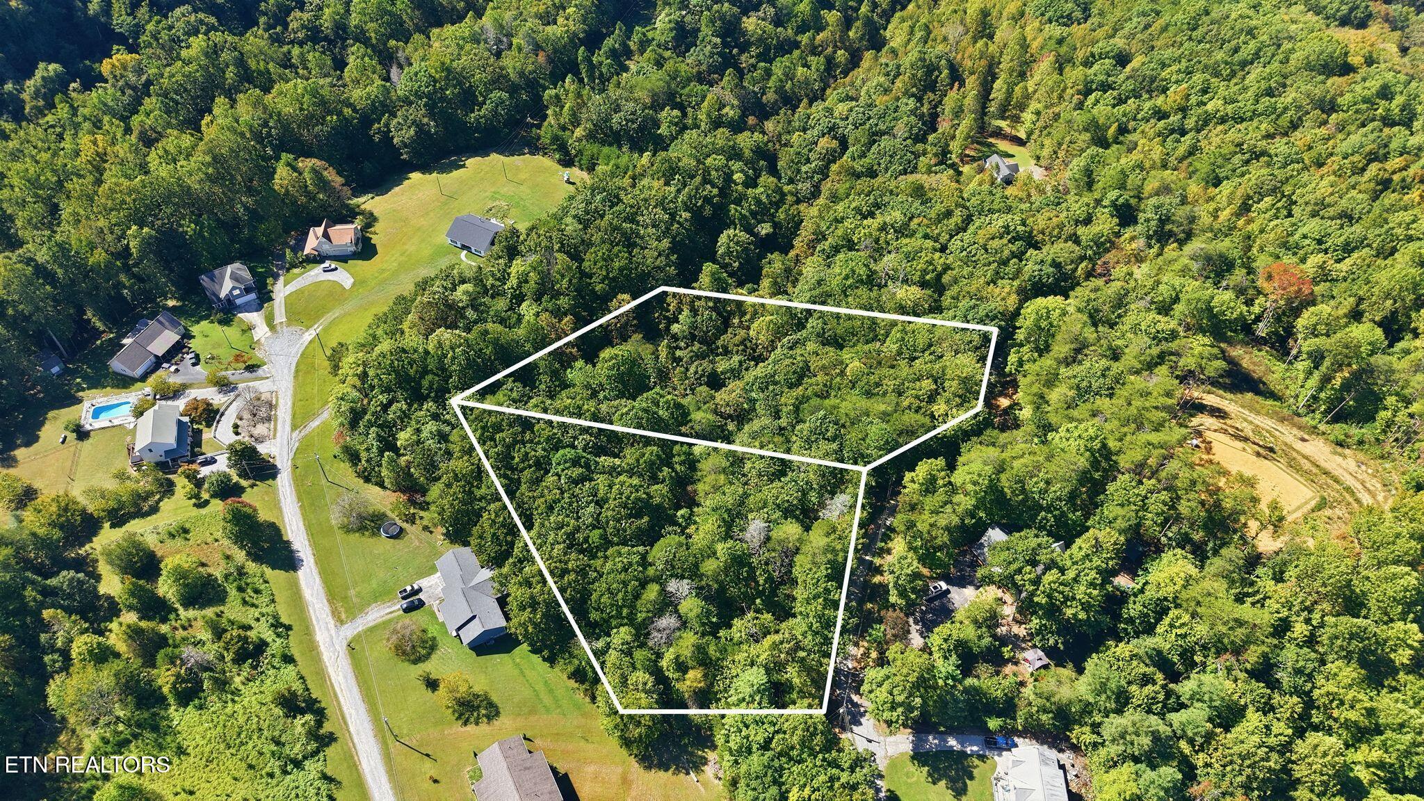 Aerial view of a wooded lot outlined in white among homes and trees.