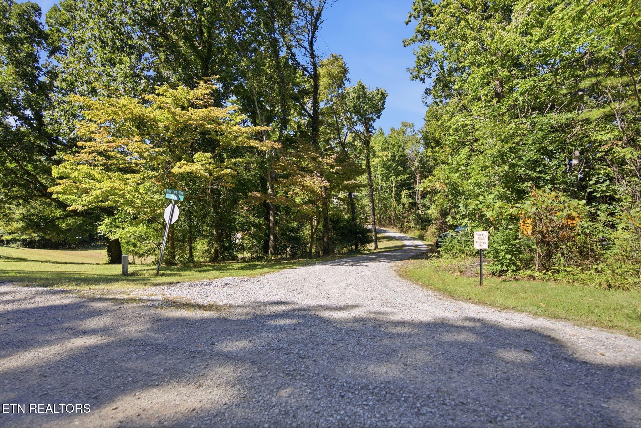 Gravel road curves into a wooded area beside the Roy Lee Way street sign.