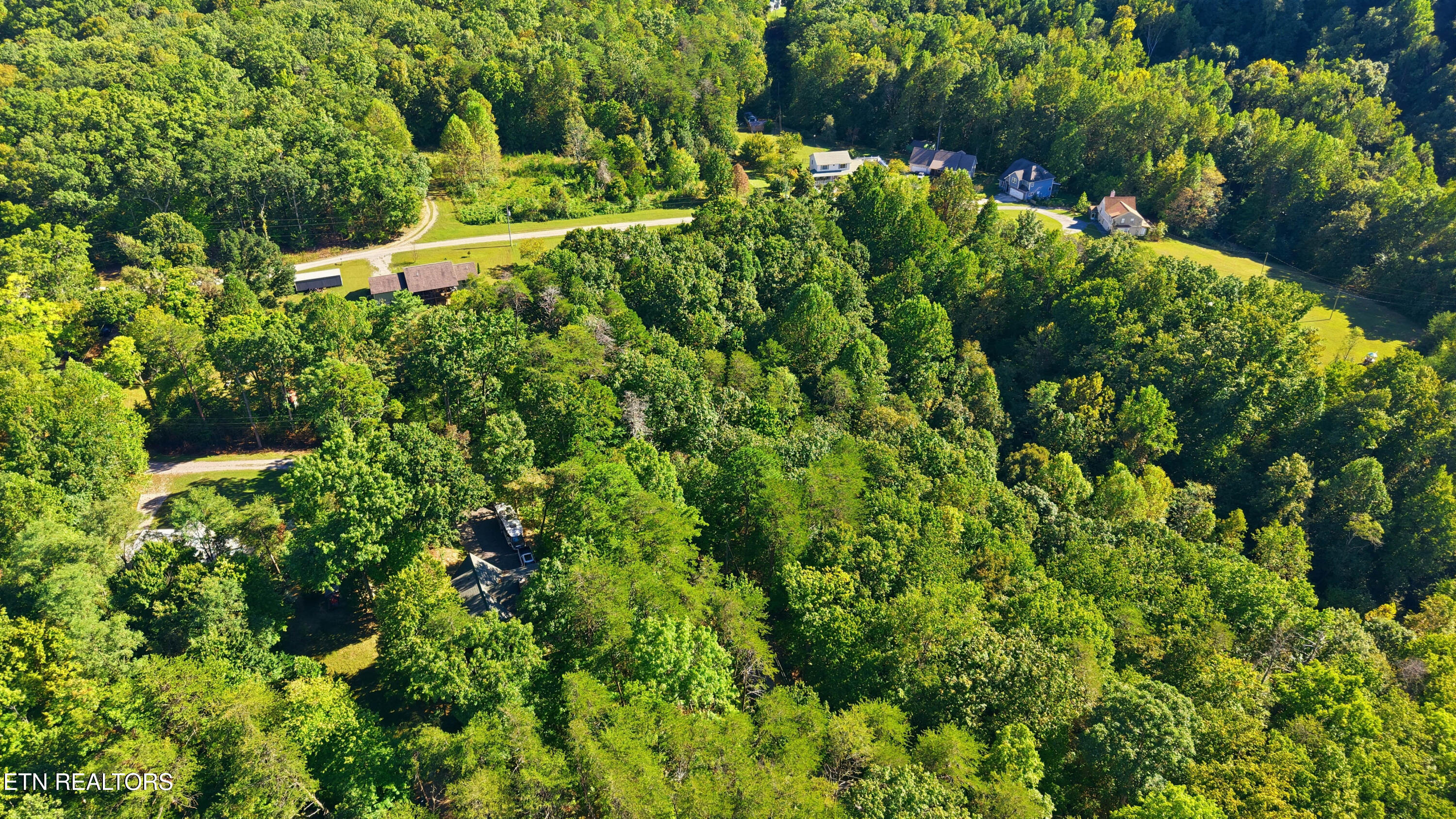 Aerial view of a densely wooded property near a curved road and neighboring homes.