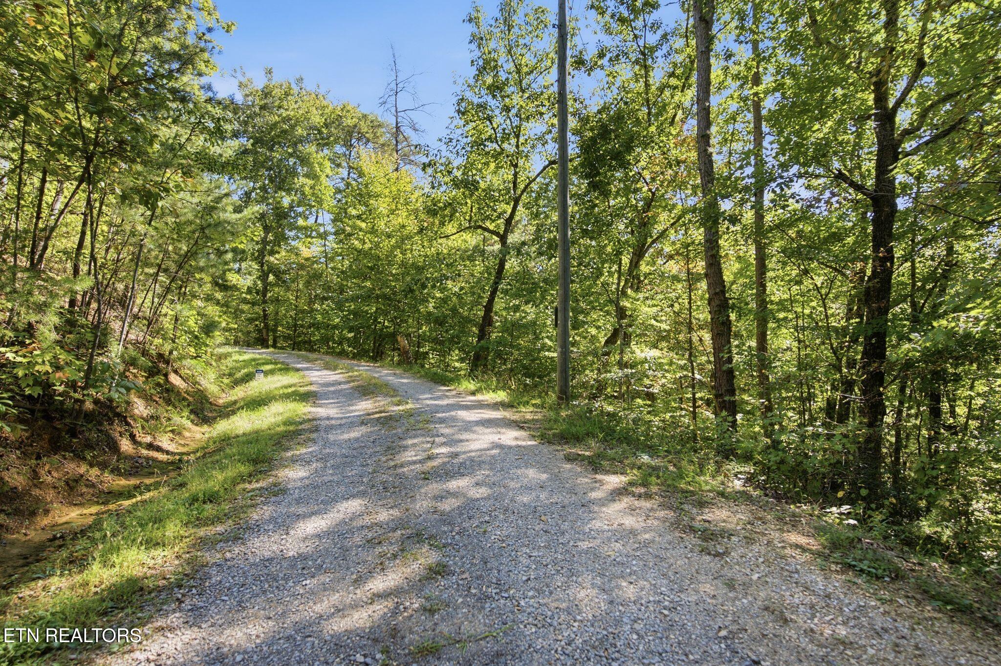 Gravel driveway curving through a wooded property beneath leafy trees.