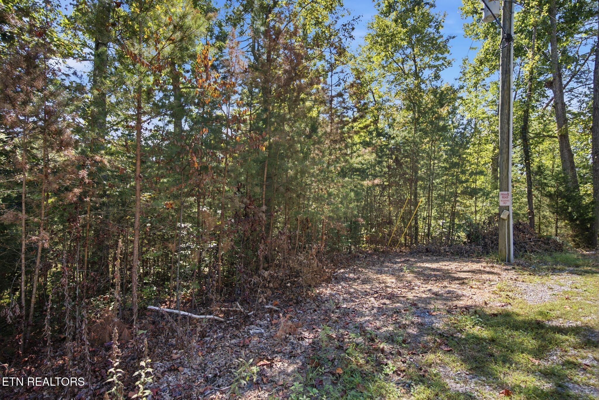 Wooded vacant lot beside a gravel road, with a utility pole marked private road.