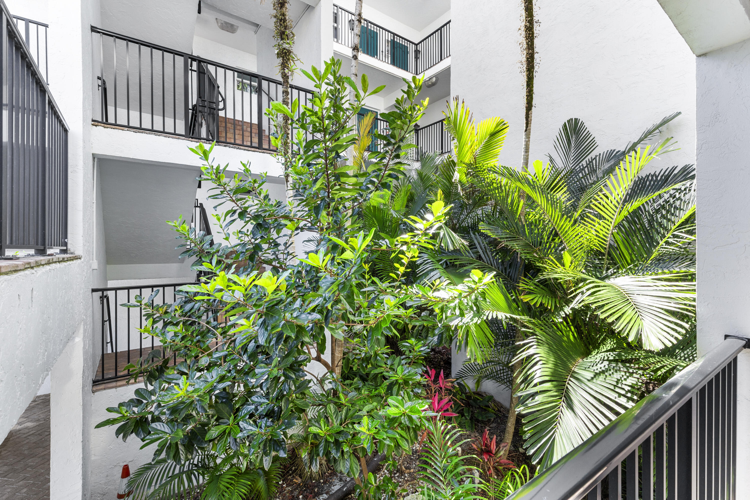 Condominium courtyard with lush tropical palms, leafy landscaping, and black-railed balconies.