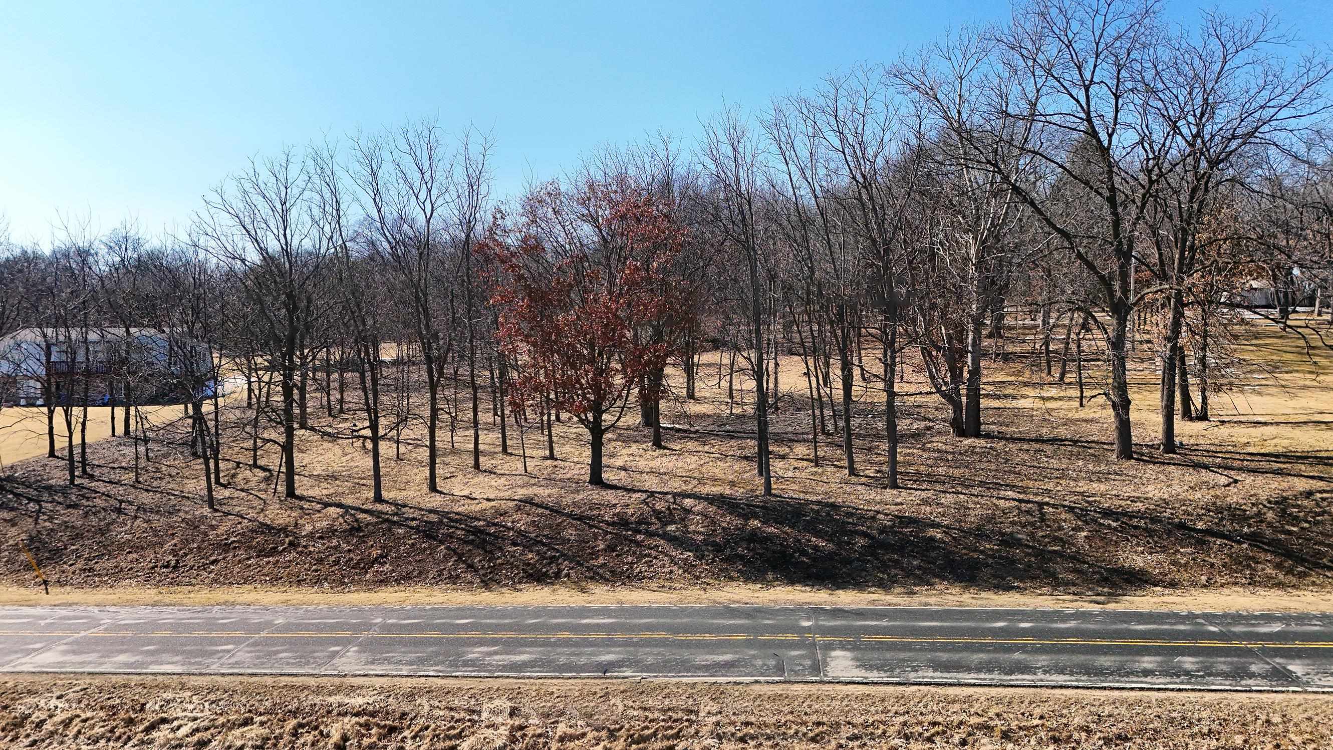 1887 Borchert Road