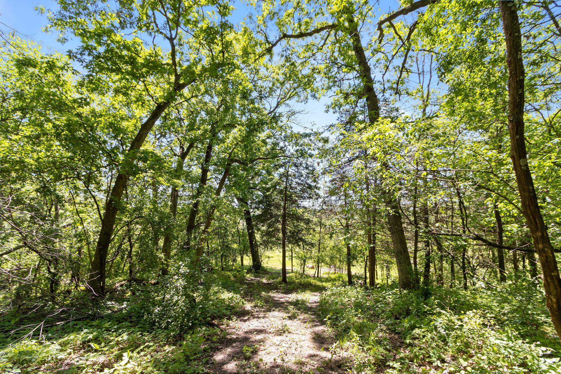 000 Kollath Road