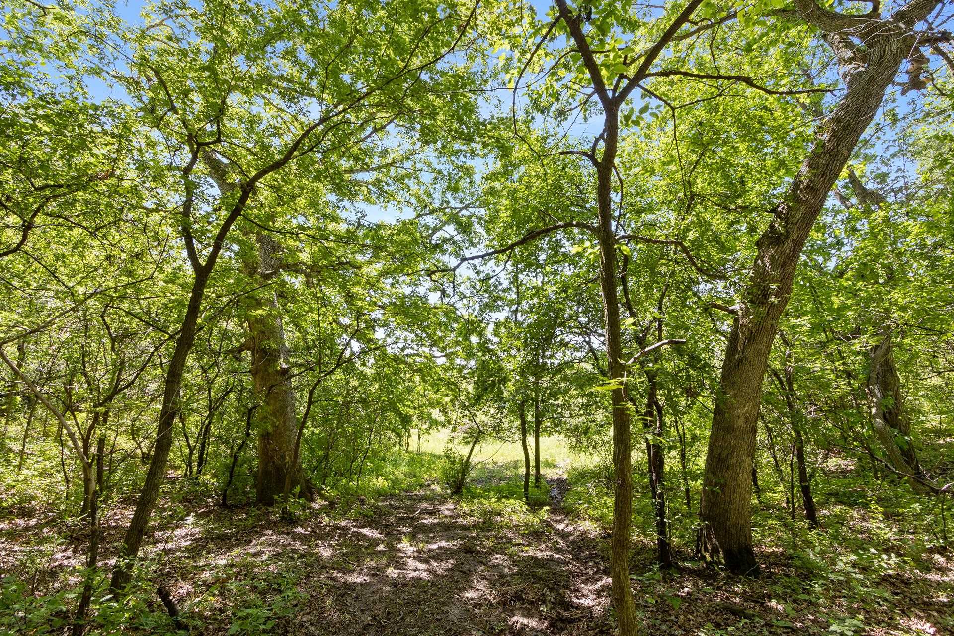 000 Kollath Road