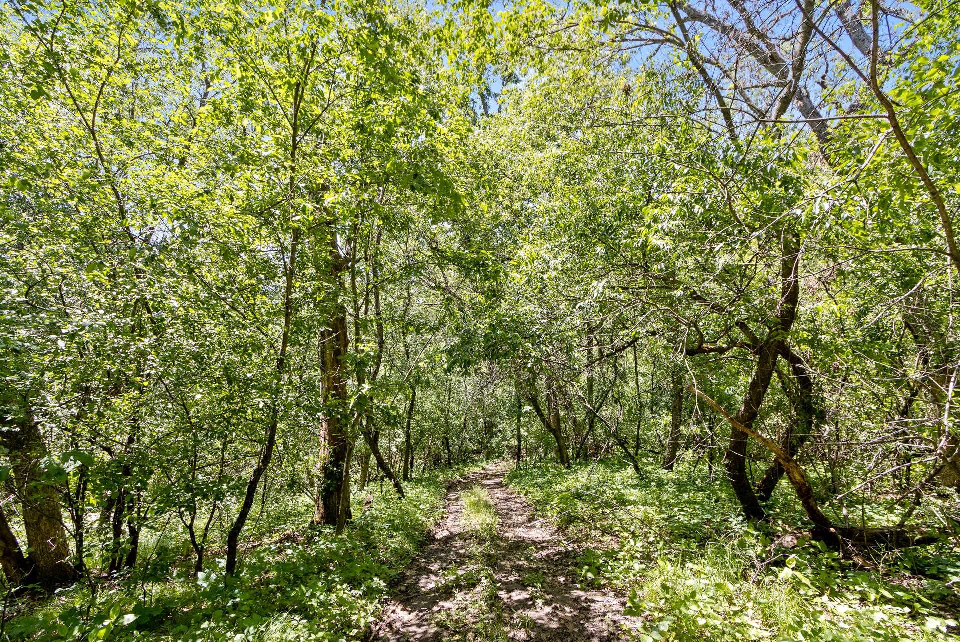 000 Kollath Road