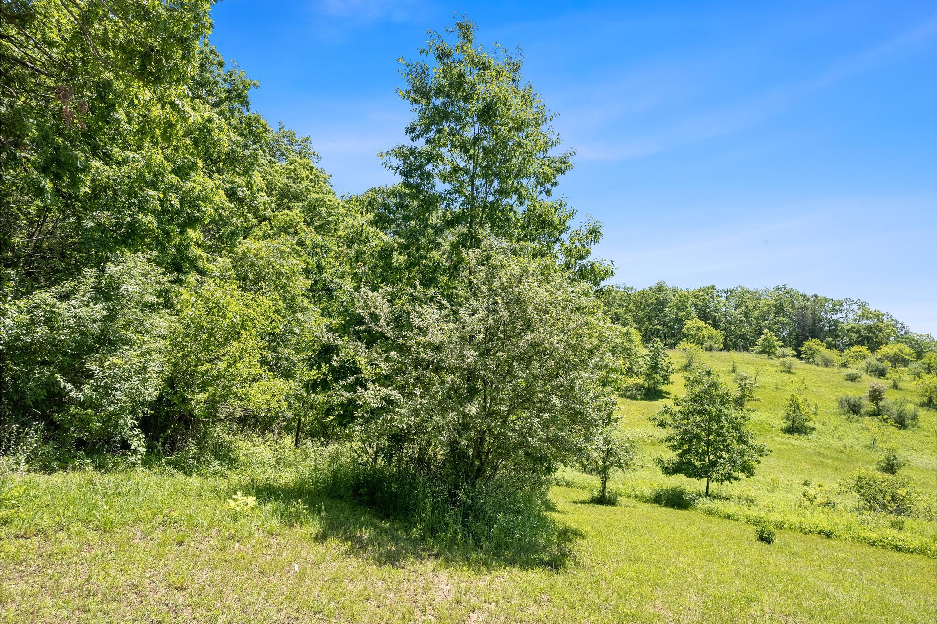 000 Kollath Road
