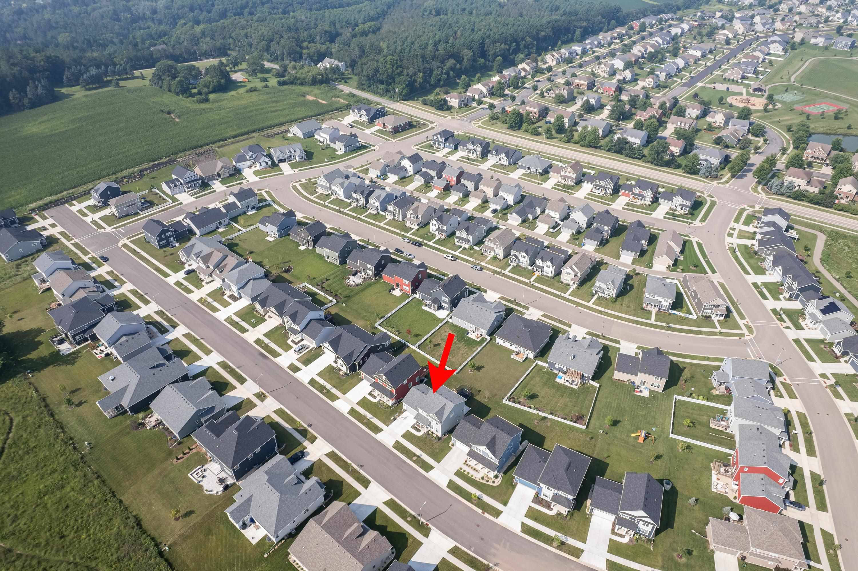 1242 Wild Willow Way