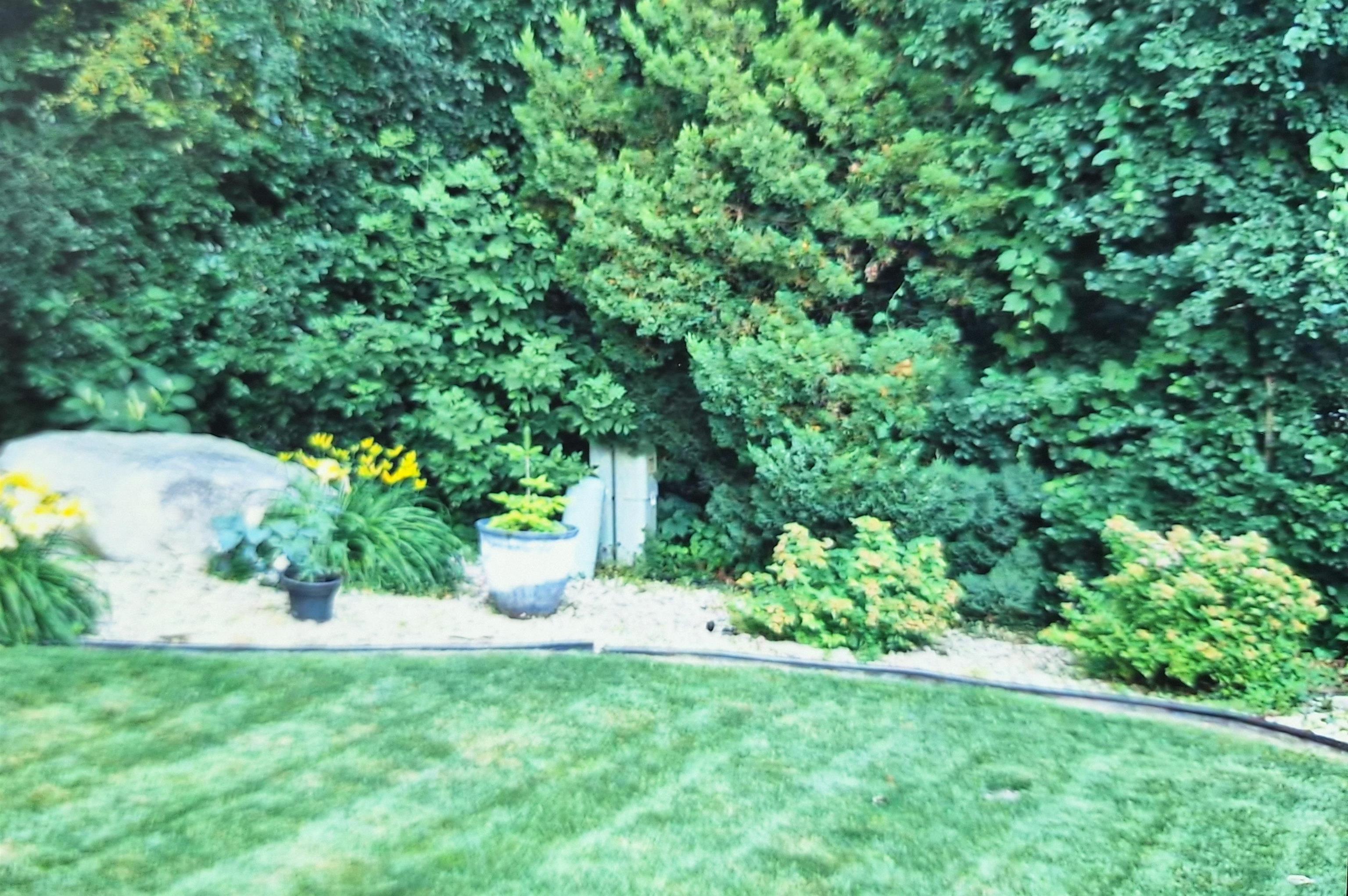 3381 Basil Drive