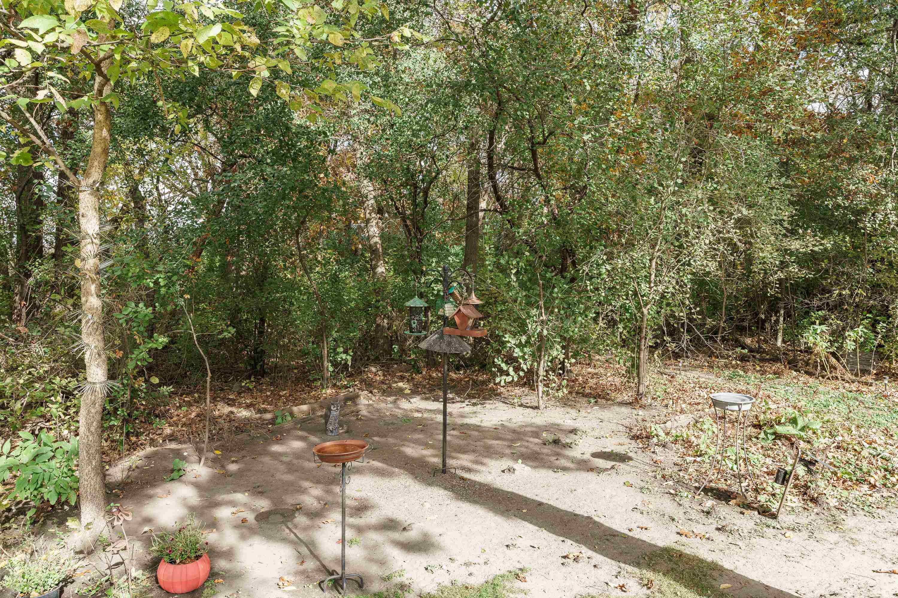 3381 Basil Drive