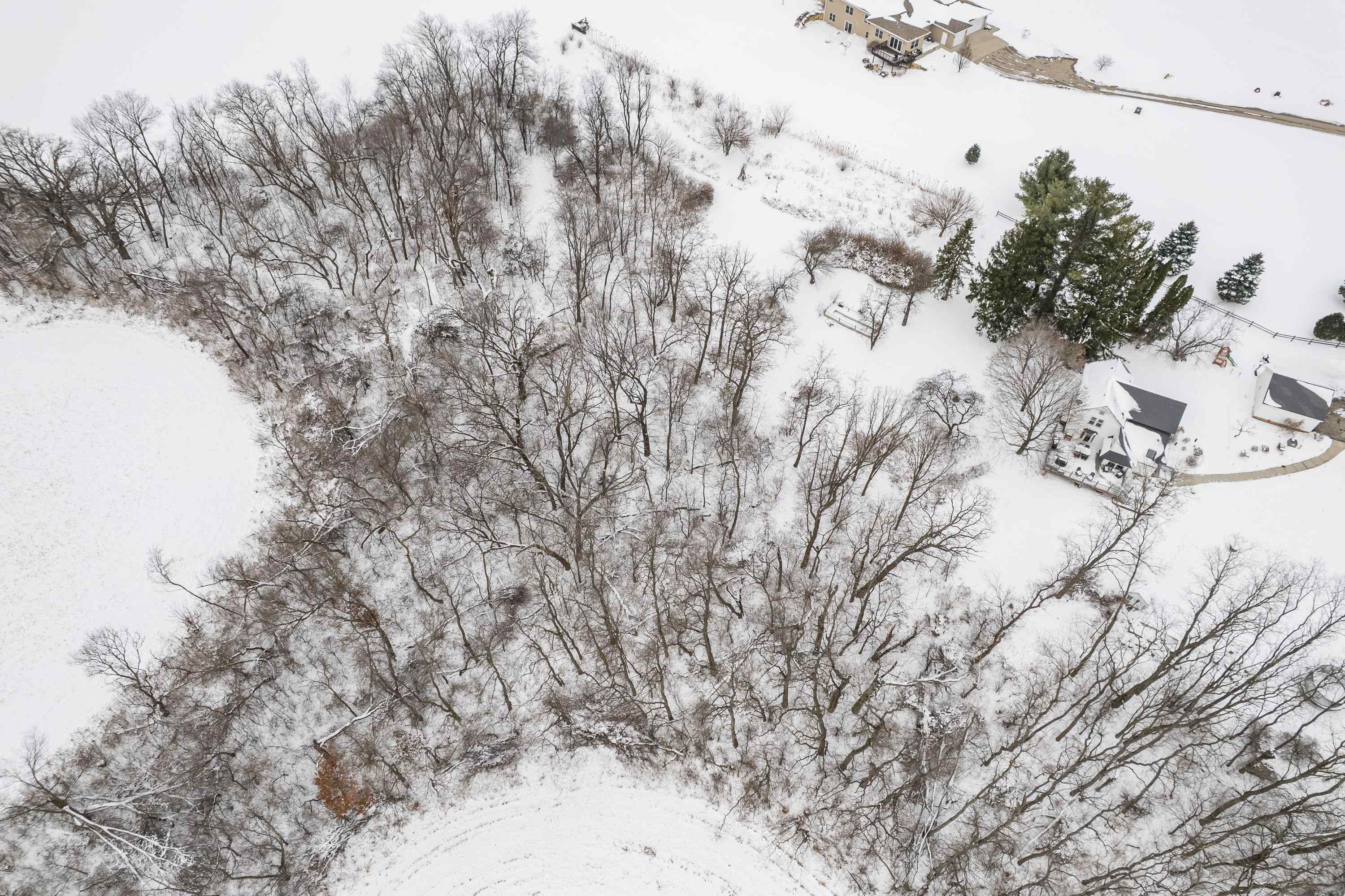 3891 Birch Trail