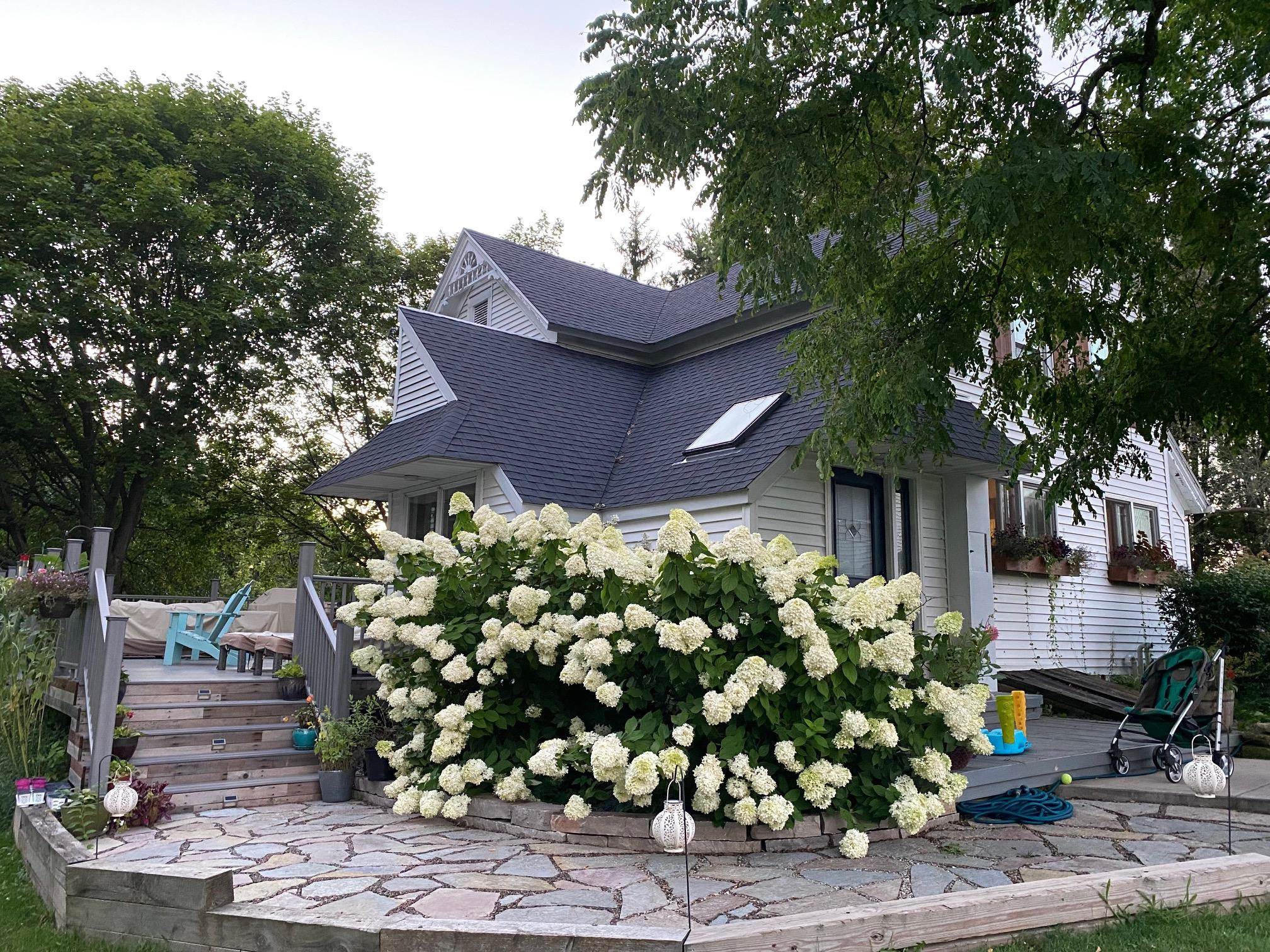 3891 Birch Trail