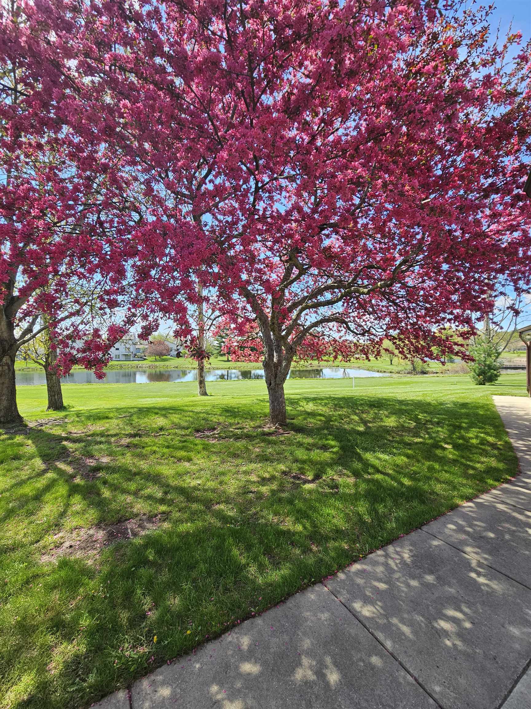 410 Saddle Ridge