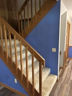 410 Saddle Ridge