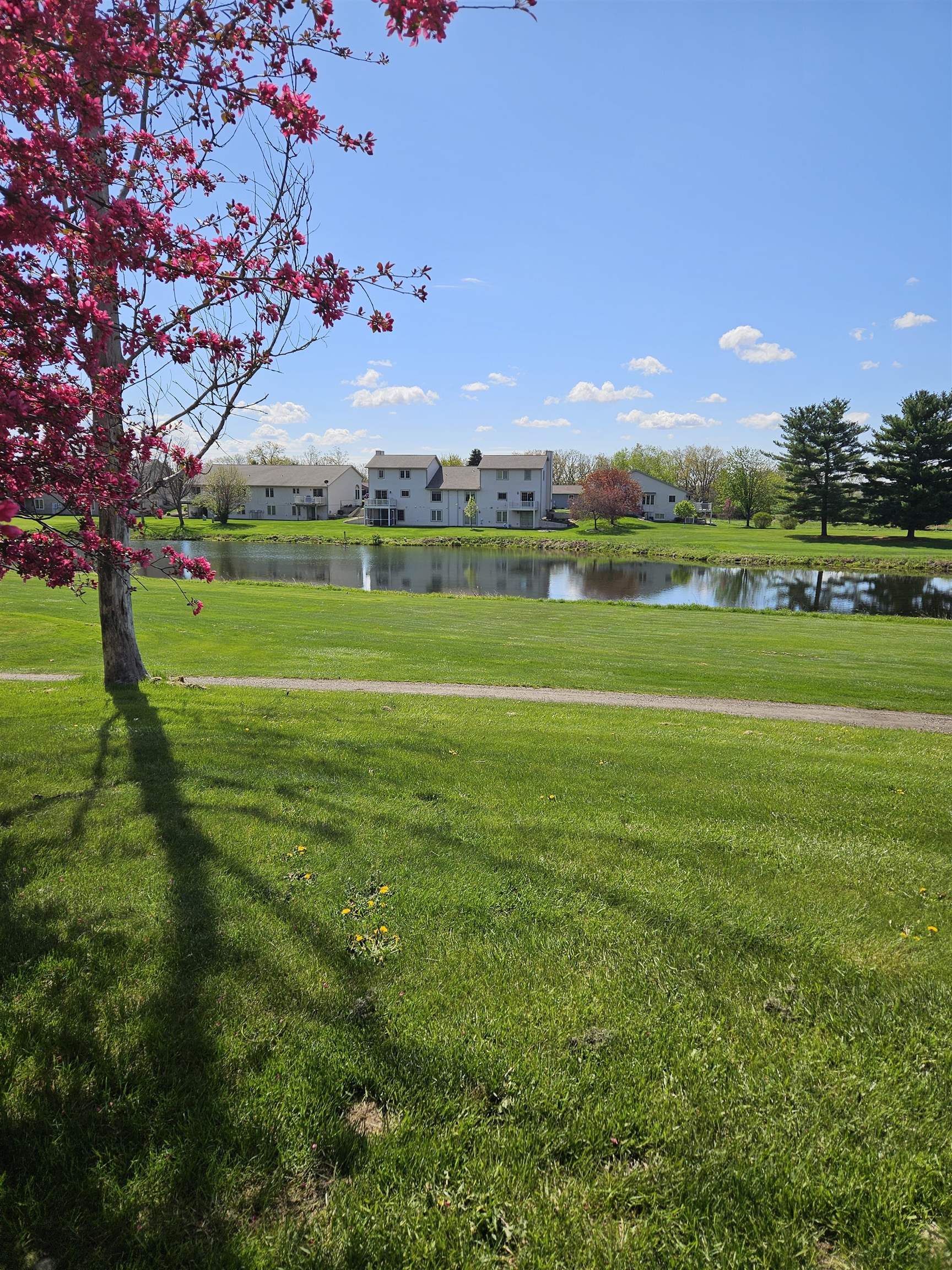 410 Saddle Ridge