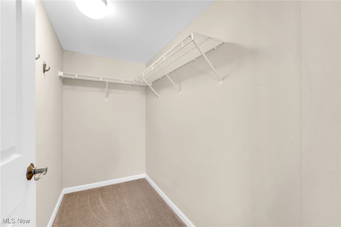 23002 Chandlers Lane 223