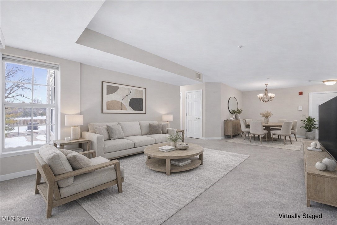 23002 Chandlers Lane 223