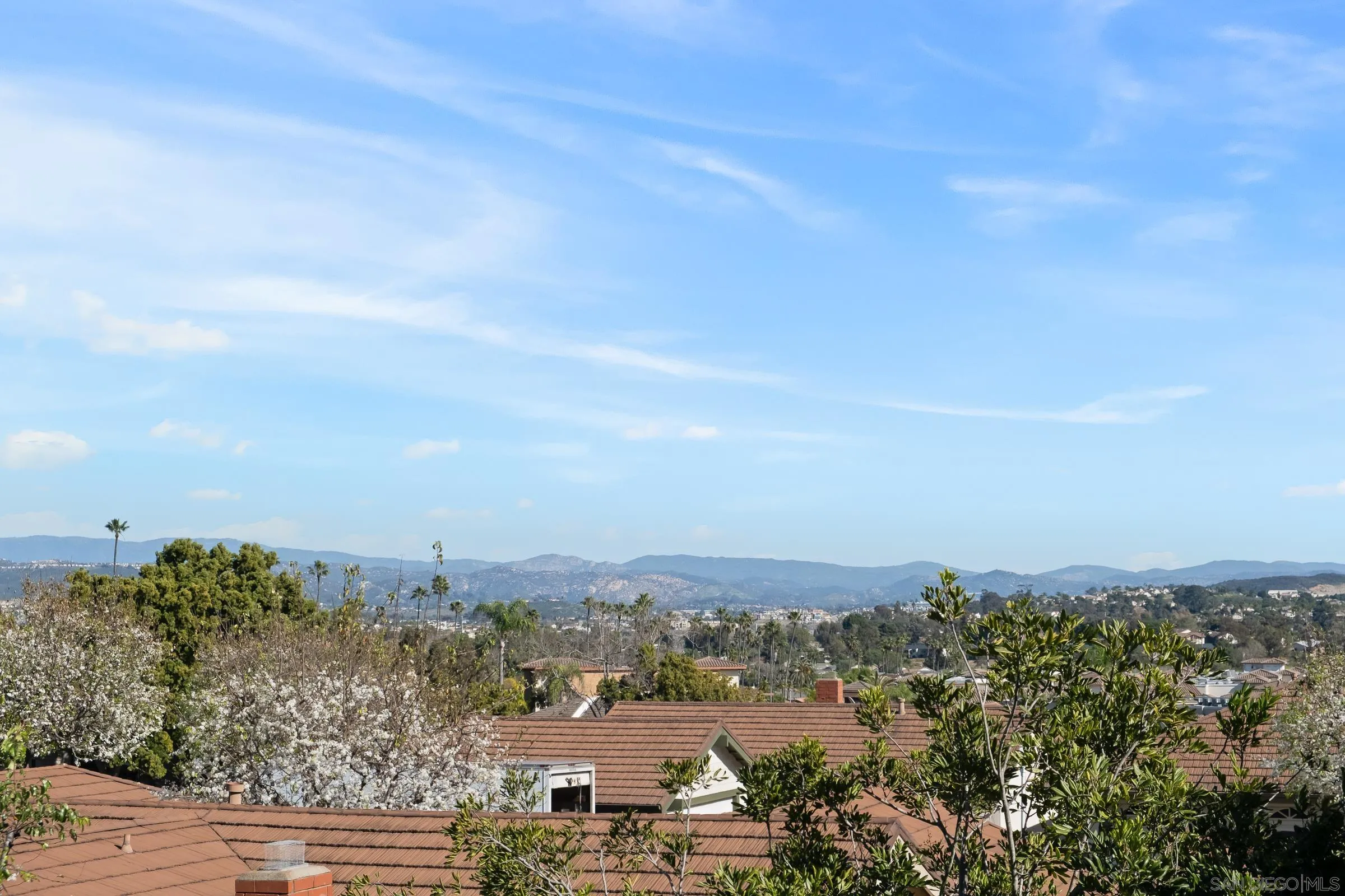 1169 Calle Del Baston