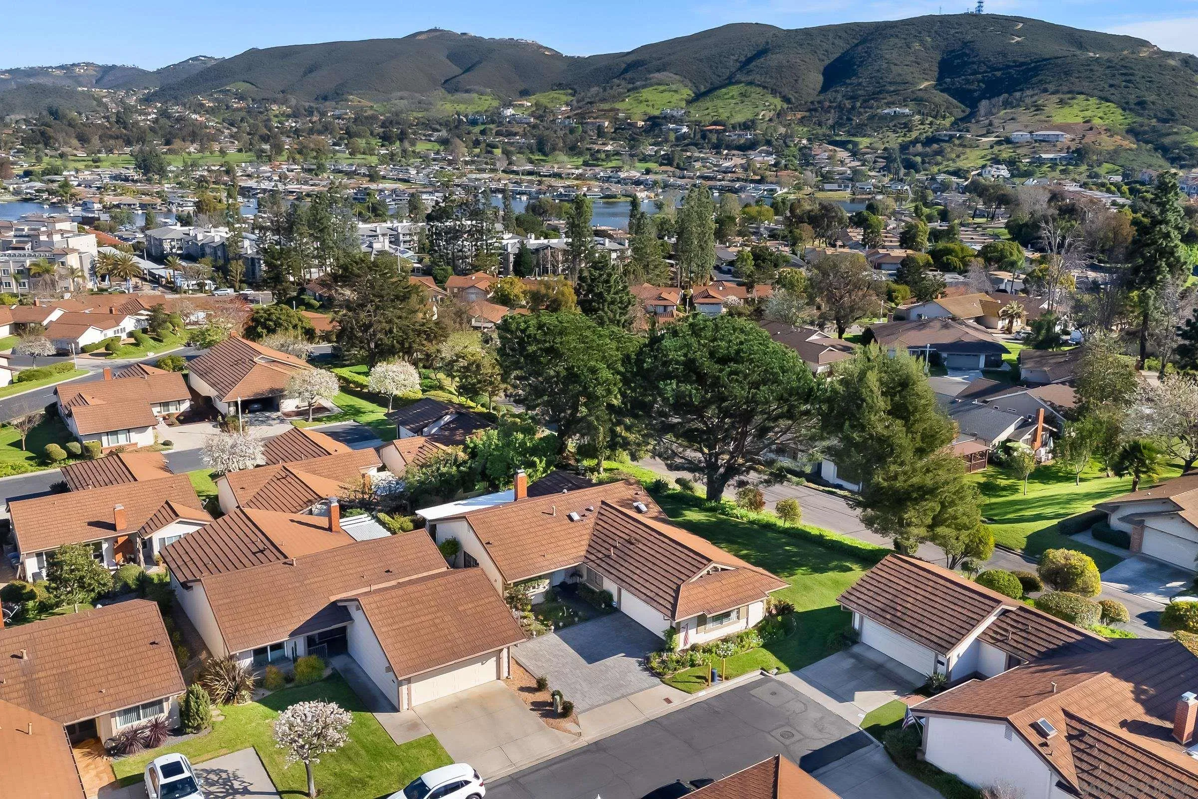 1169 Calle Del Baston