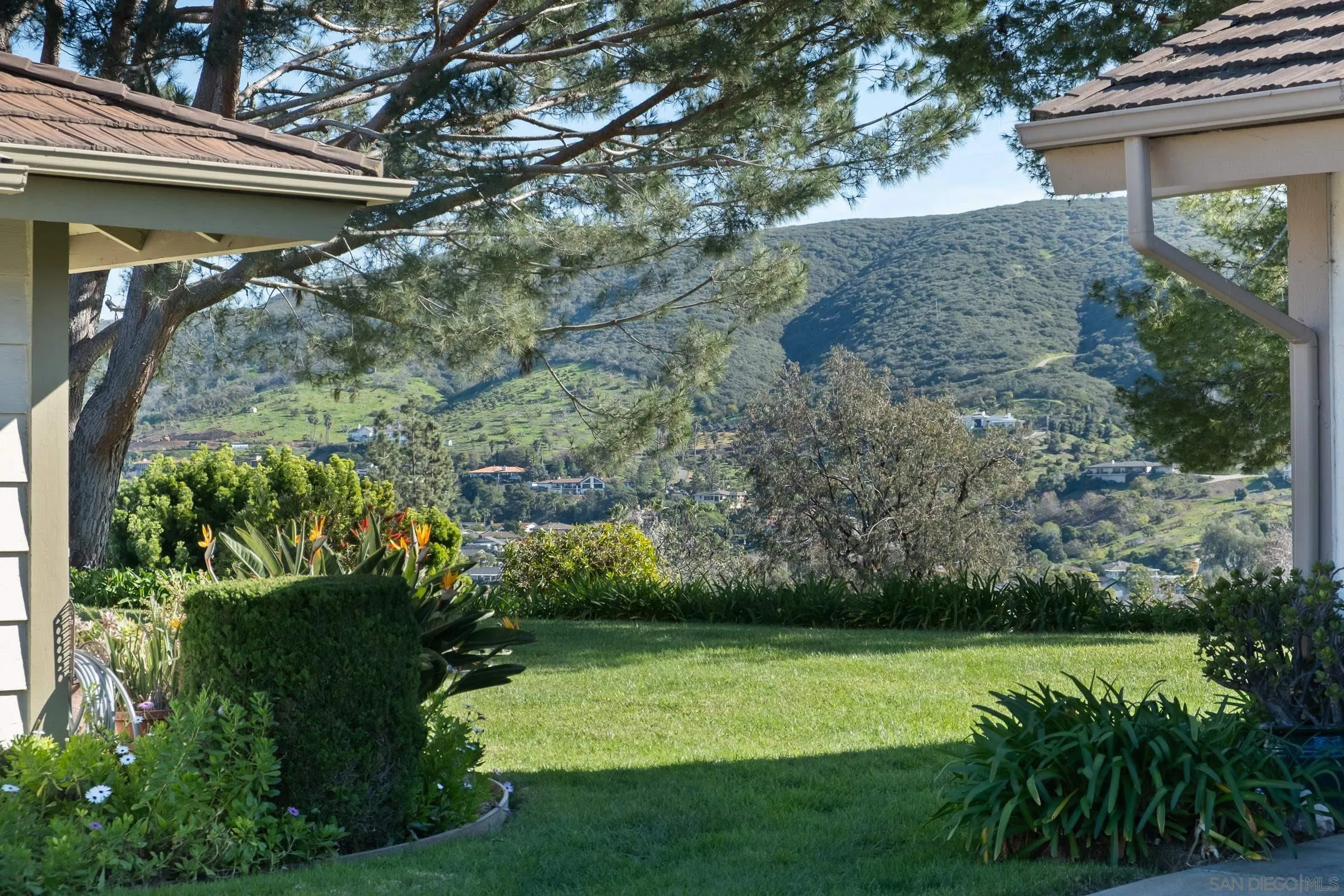 1169 Calle Del Baston