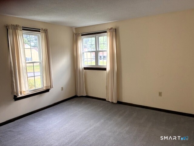 Empty carpeted room with two curtained windows.