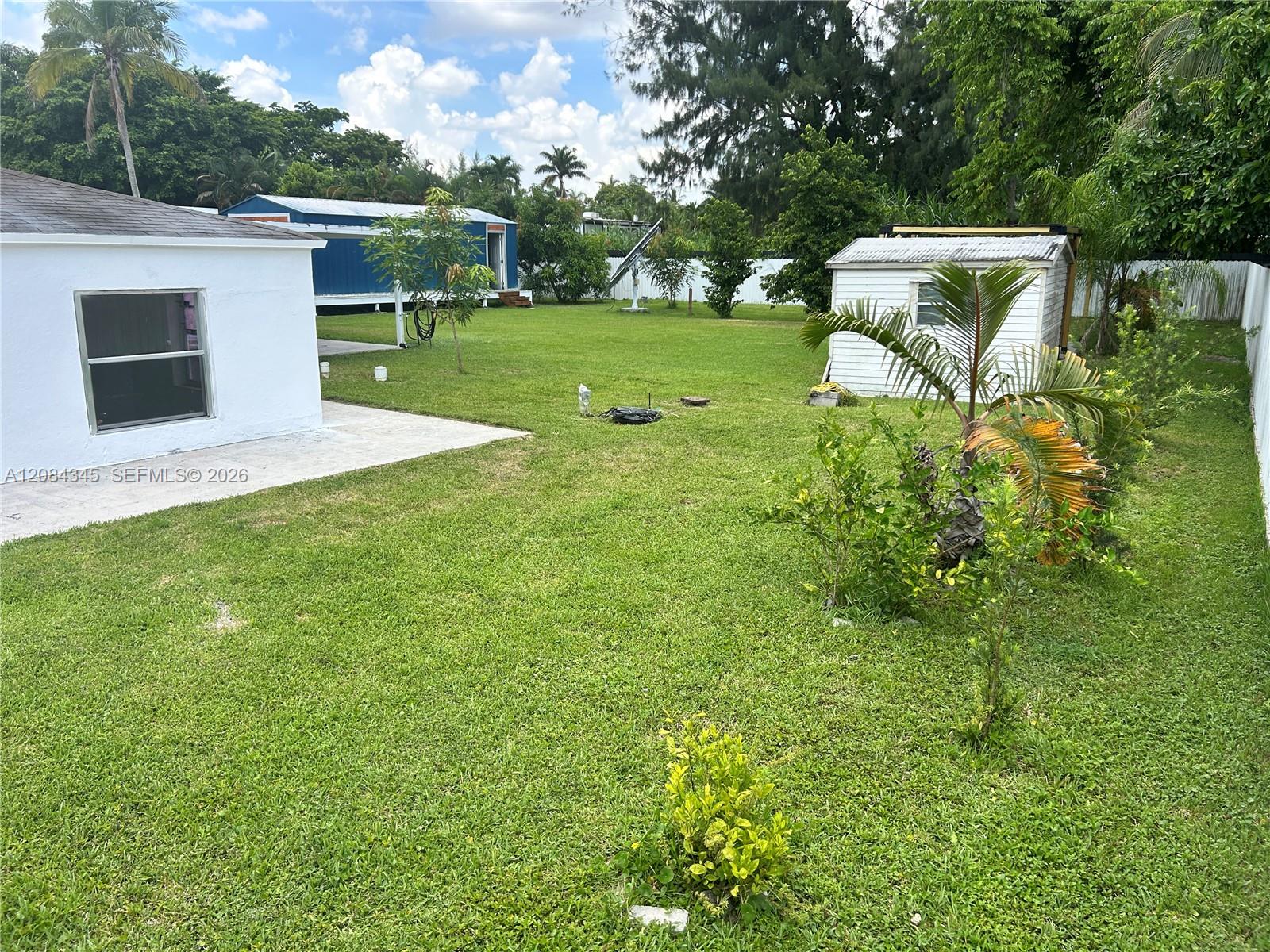 Grassy backyard with two outbuildings, tropical palms, and a white fence.