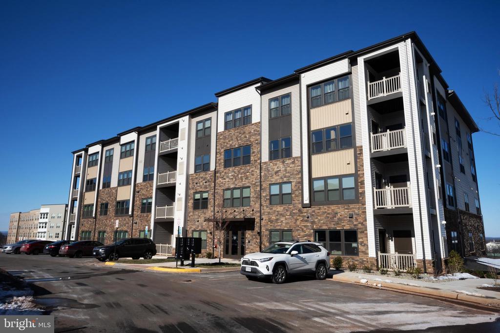 46320 MOUNT MILSTEAD TERRACE Unit: 203