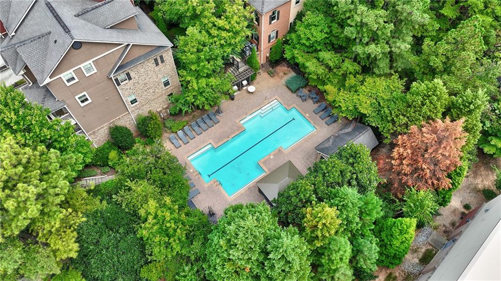 Aerial view of a residential community pool surrounded by trees and lounge chairs.