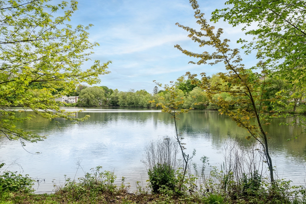 42 Lake Shore Ter # 4