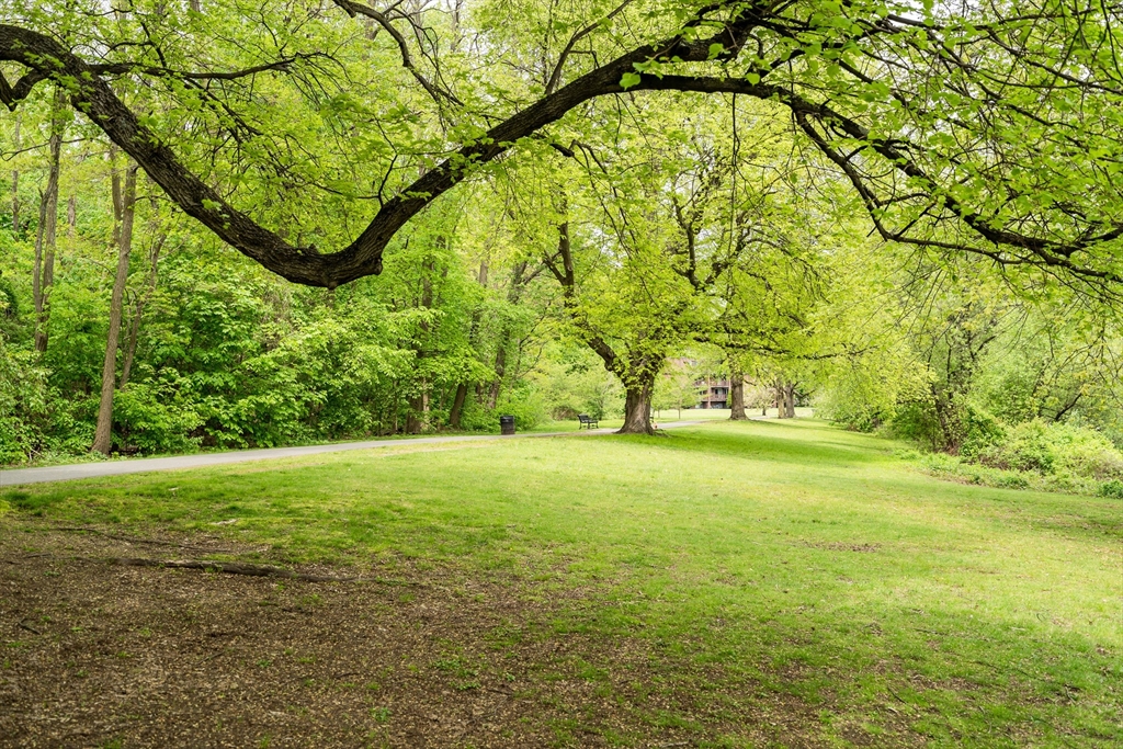 42 Lake Shore Ter # 4