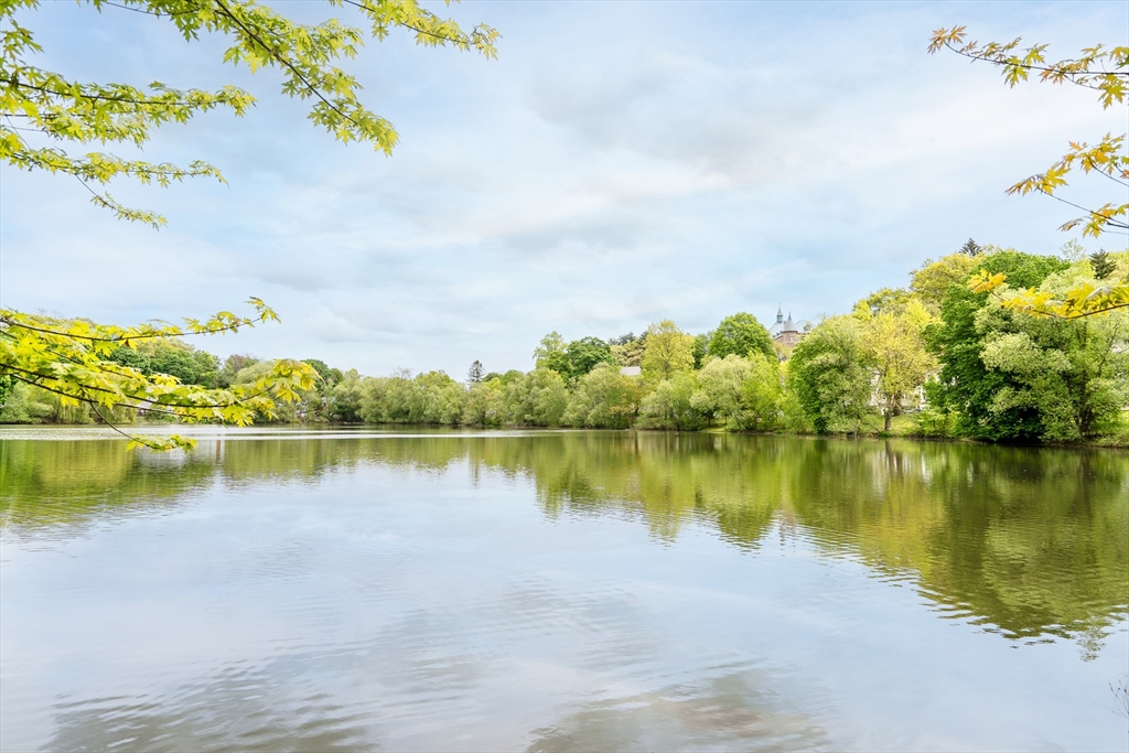 42 Lake Shore Ter # 4